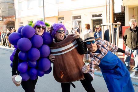 pustna povorka v Postojni _ marec 2025 (18)